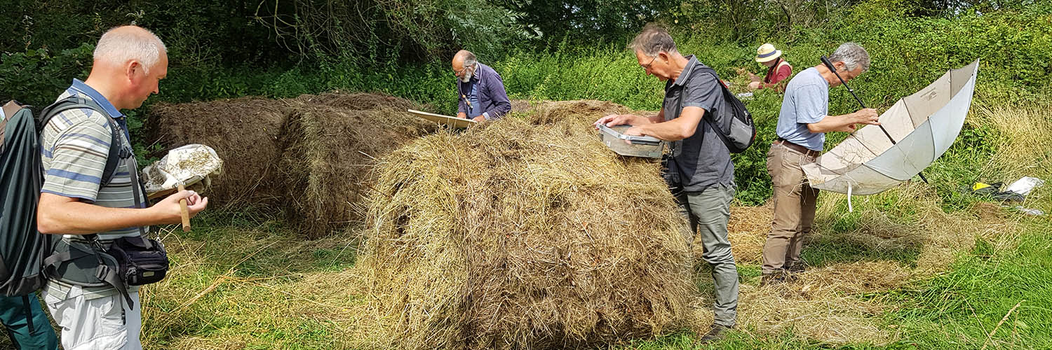 Wantsenonderzoek op de Sint-Pietersberg